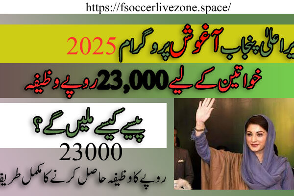 Aaghosh Program 2025:Best Transforming Maternal and Child Health in Punjab Aaghosh Program 2025