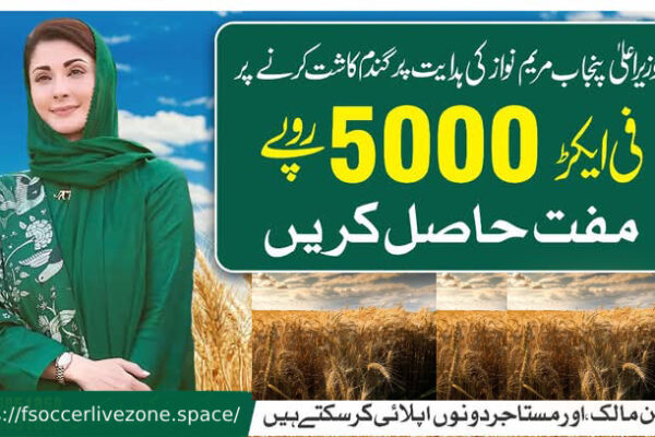 CM Punjab Wheat Subsidy Best 2025: How Farmers Can Rs. 5,000 per Acre CM Punjab Wheat Subsidy Best 2025