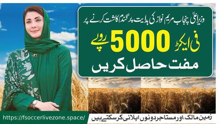 CM Punjab Wheat Subsidy Best 2025